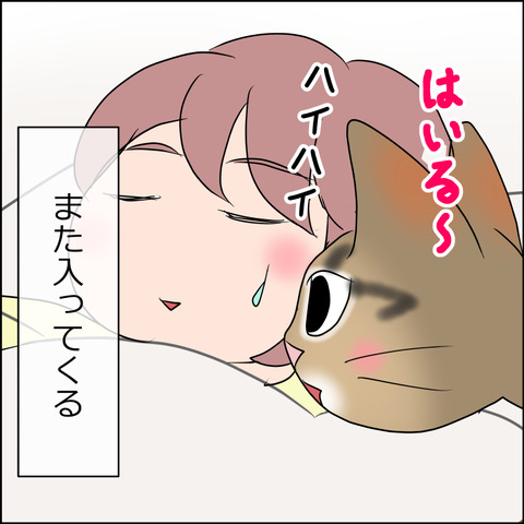 あんこ&麦STORY1720c