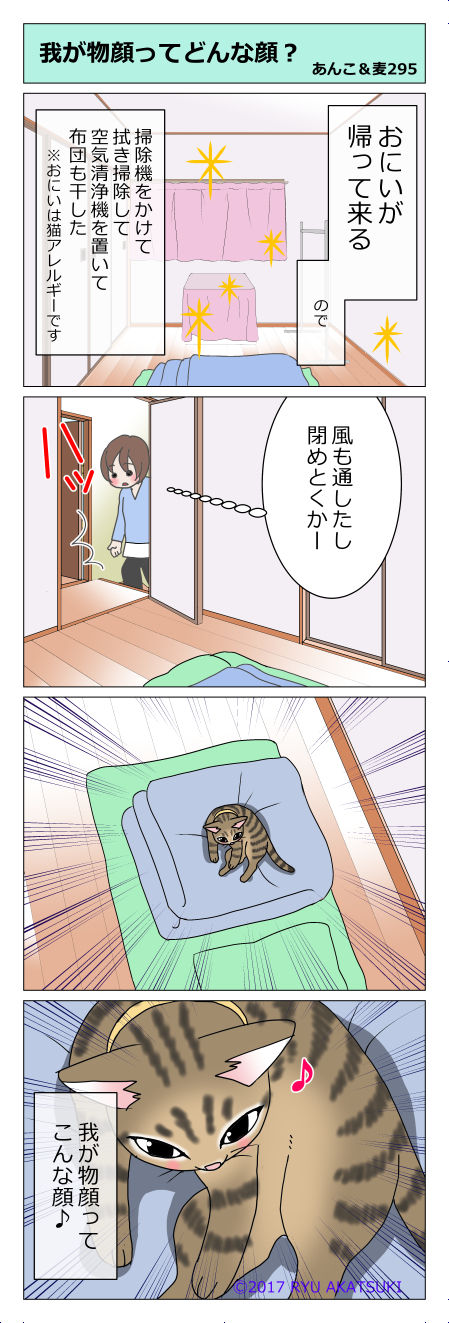 あんこ&麦STORY295