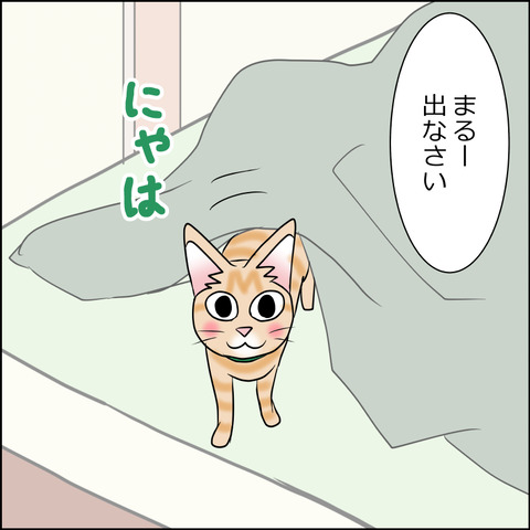 あんこ＆麦STORY1710b