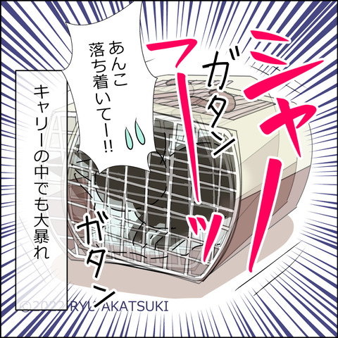 あんこ＆麦STORY1732d
