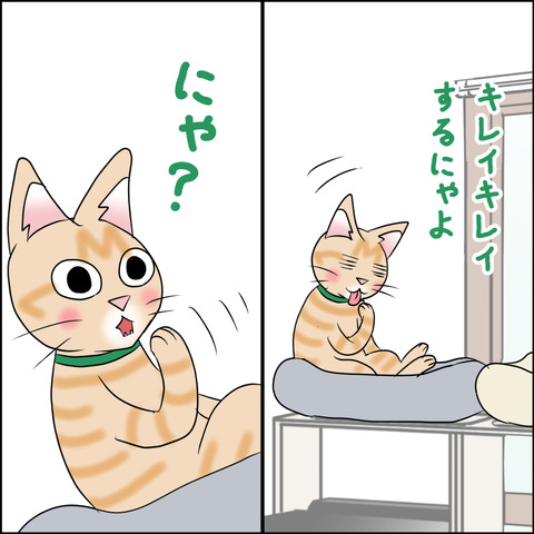 あんこ＆麦STORY2009b