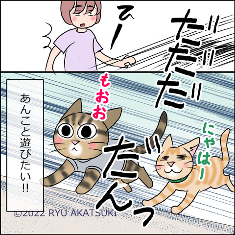 あんこ＆麦STORY1696d