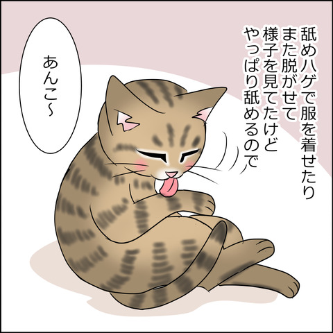 あんこ＆麦STORY1918a