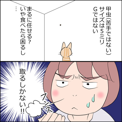 あんこ＆麦STORY2456b