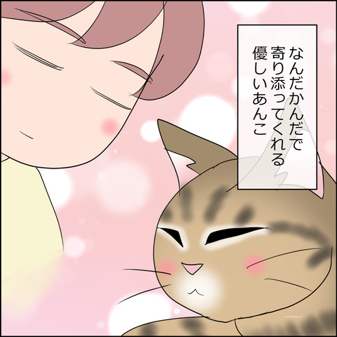 あんこ＆麦STORY2479c