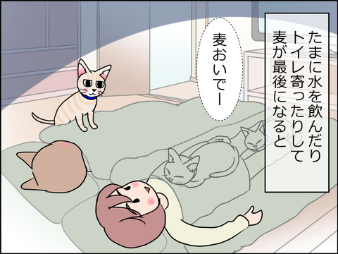 あんこ&麦STORY1504b
