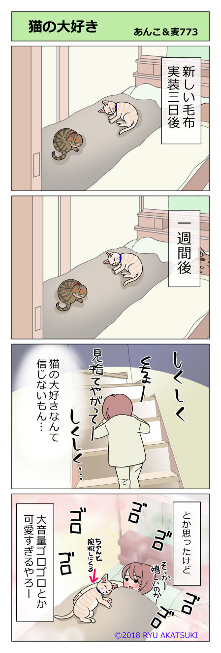 あんこ&麦STORY773