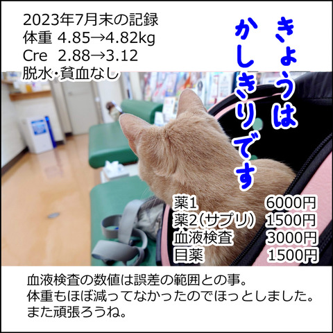 あんこ＆麦kenko81e