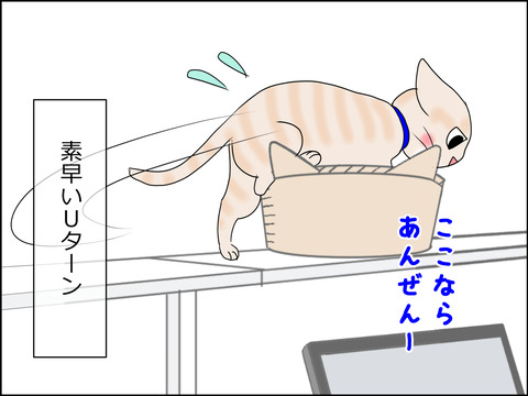 あんこ&麦STORY1437c