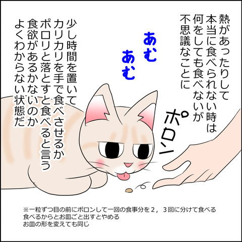 あんこ＆麦kenko103b