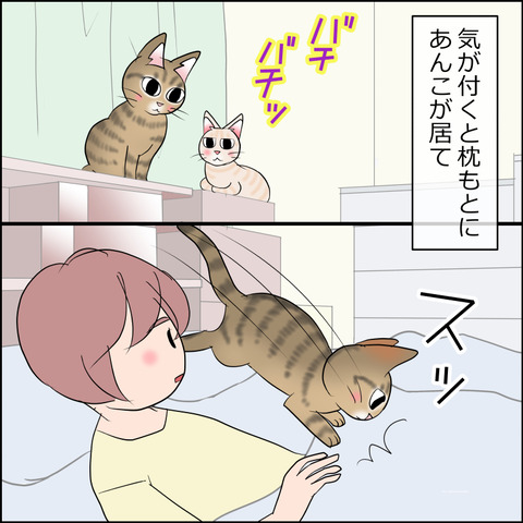 あんこ&麦STORY2167b