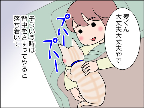あんこ&麦STORY1542b