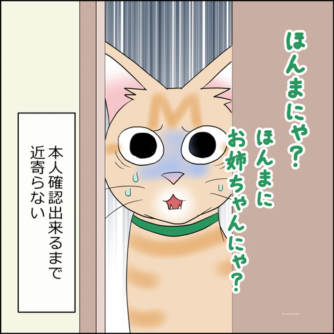 あんこ＆麦STORY2234d