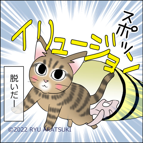 あんこ&麦STORY1678d