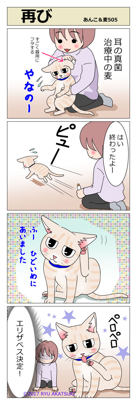 あんこ&麦STORY505