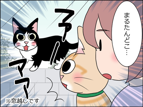 あんこ＆麦STORY1638b