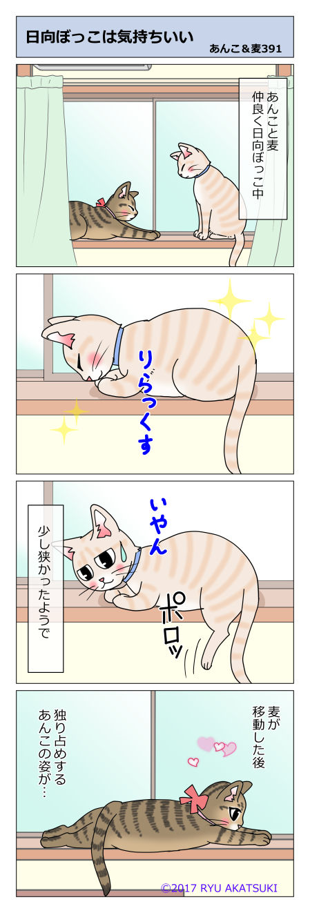 あんこ&麦STORY391