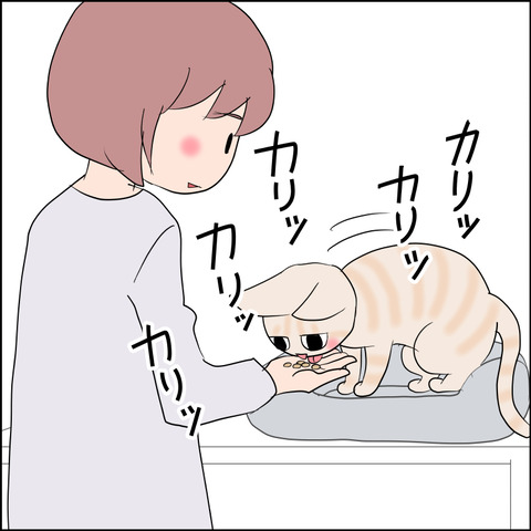 あんこ＆麦STORY2225c