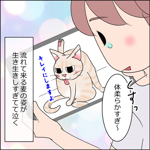 あんこ&麦STORY2486d