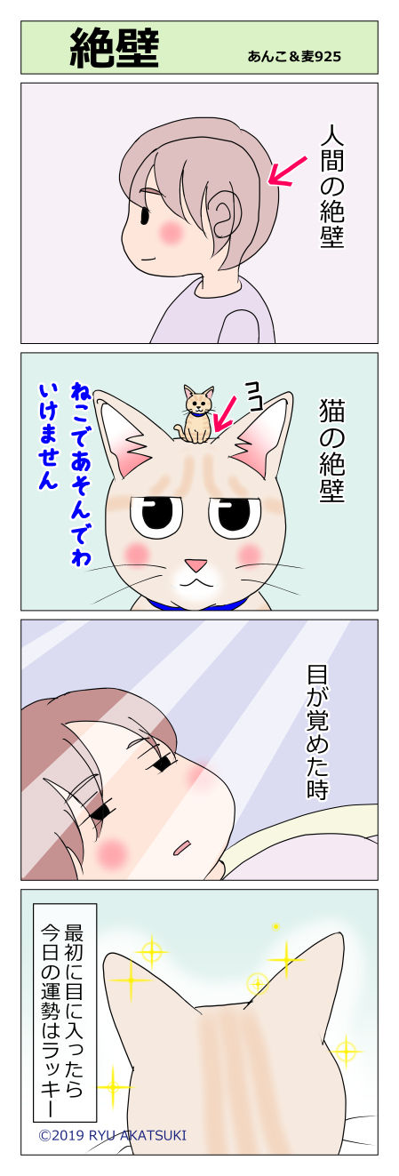 あんこ&麦STORY925