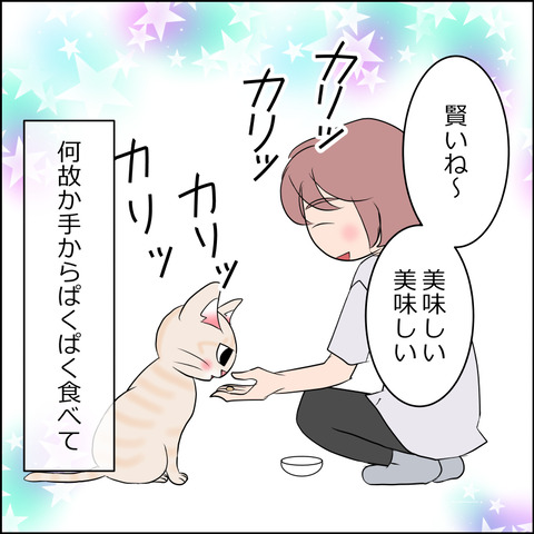 あんこ&麦STORY2148e