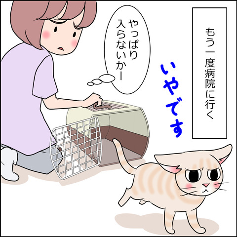 あんこ＆麦STORY1676b