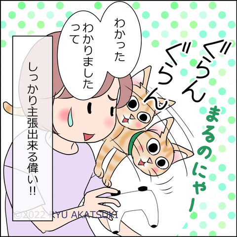 あんこ＆麦STORY1692d