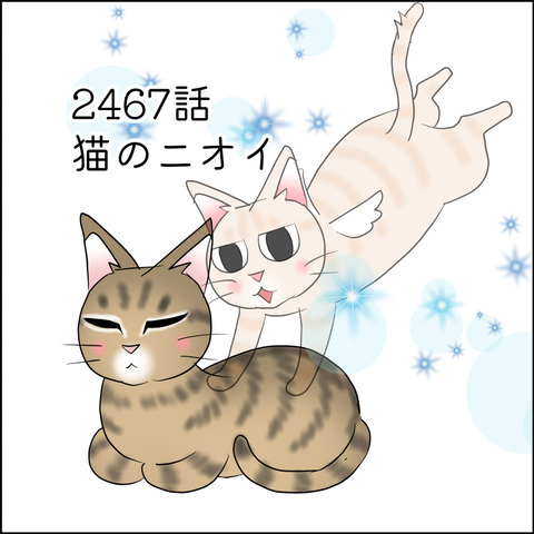 あんこ＆麦STORY2467@