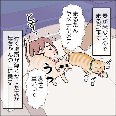 あんこ&麦STORY1772b