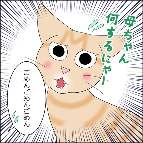 あんこ＆麦STORY2335d