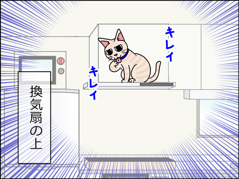あんこ&麦STORY1528b