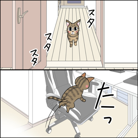 あんこ＆麦STORY2453c