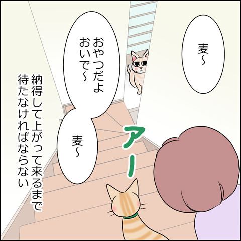 あんこ&麦STORY1853e