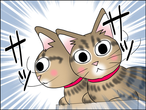 あんこ＆麦STORY1626c