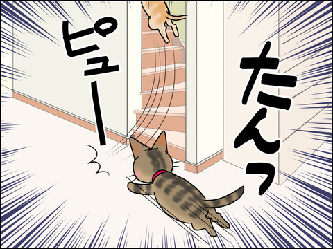 あんこ&麦STORY1464b