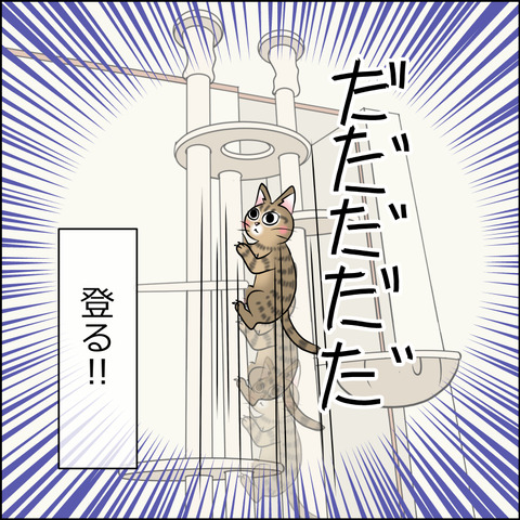 あんこ＆麦STORY1763b