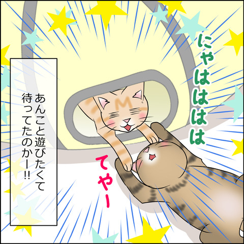 あんこ&麦STORY2007d