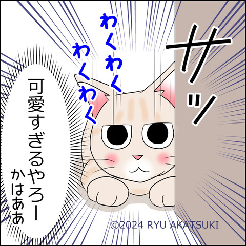 あんこ＆麦STORY2096d