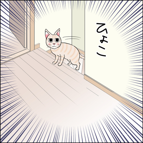 あんこ＆麦STORY2214g