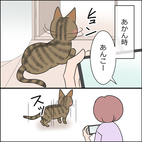 あんこ&麦STORY1931b