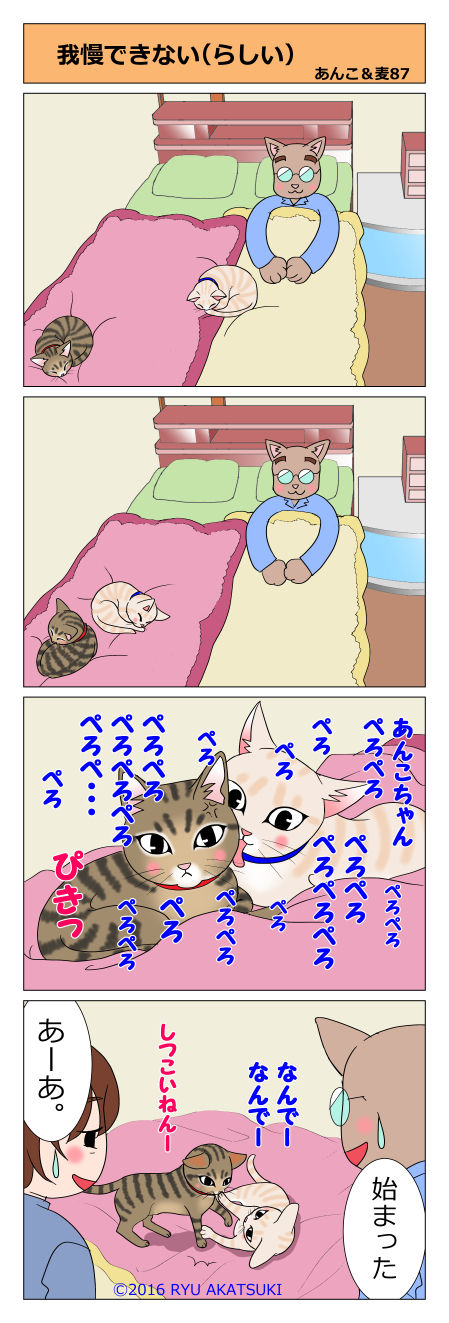 あんこ&麦STORY87