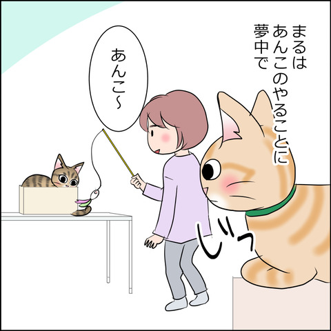 あんこ＆麦STORY1832a