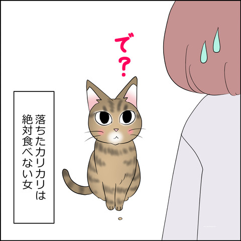 あんこ&麦STORY2263e