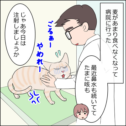 あんこ＆麦kenko100a