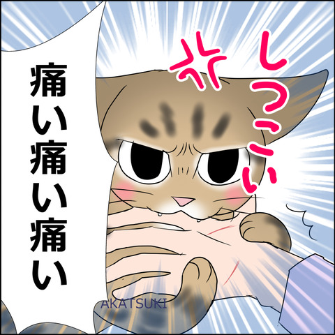 あんこ＆麦STORY2047d