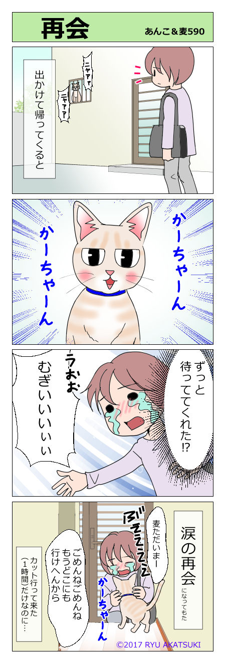 あんこ&麦STORY590