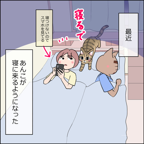 あんこ＆麦STORY2479a