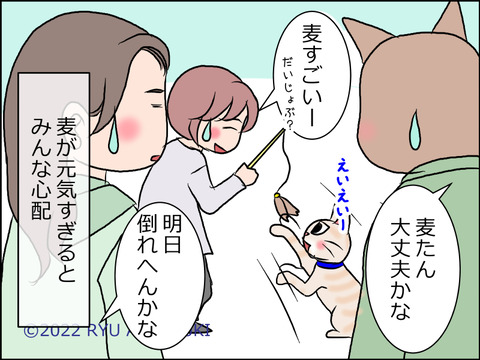 あんこ＆麦STORY1592d