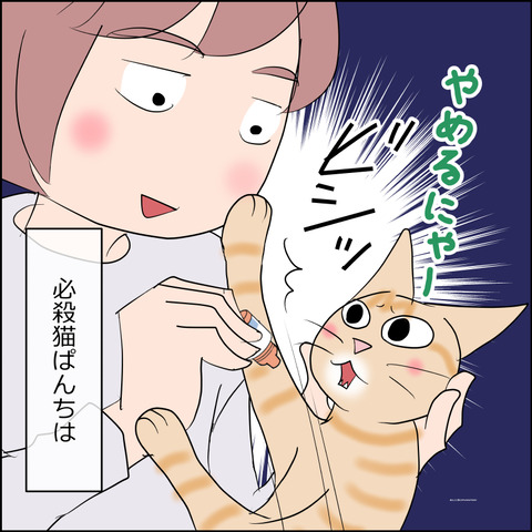 あんこ＆麦STORY2451c