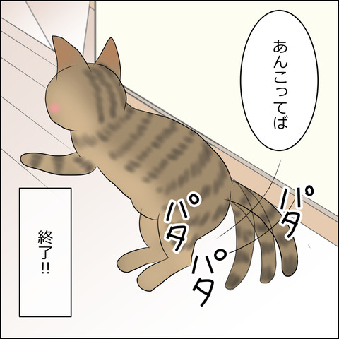 あんこ&麦STORY2144d